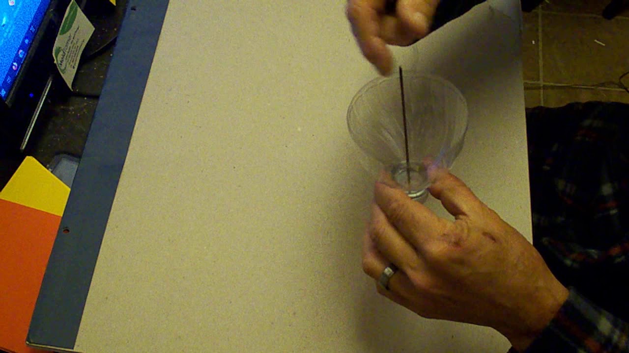 Hummingbird Ant Guard DIY in 5 mins YouTube