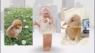 Pick a side Easter edition 