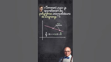 [SHO#37] Que sont les polynômes de Lagrange ?! #introduction #analyse