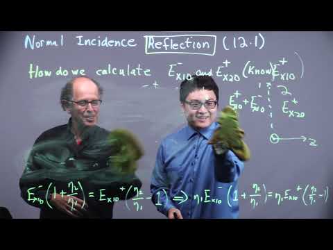 ELEC311 - Normal