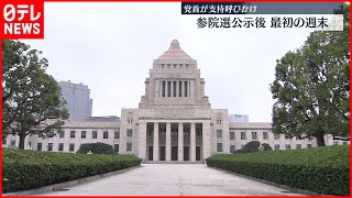 【参院選】各党の党首が支持を呼びかけ　参院選公示後、初の週末