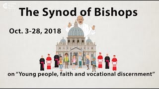 What is a Synod of Bishops?