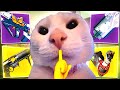 Solo Flawless Grandmaster Alert Birthplace of the Vile With Titan | Destiny 2 Renegades