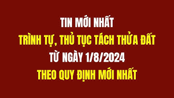 Thủ Tục Tách Thửa Đất Theo Quy Định Mới Từ 1/8/2024 | Luật Đất Đai 2024