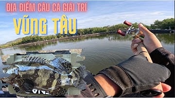 Chia sẽ địa điểm câu cá giải trí tại LONG SƠN VŨNG TẦU, câu Lure cá Chẽm và Mú lớn được mang về