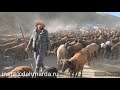 Гиссарские овцы и аборигенные САО Таджикистана на перегоне.  Апрель 2021