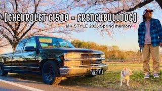 【CHEVROLET C1500】【フレンチブルドッグ】spring memory🌸#chevrolet#シボレー#フレンチブルドッグ
