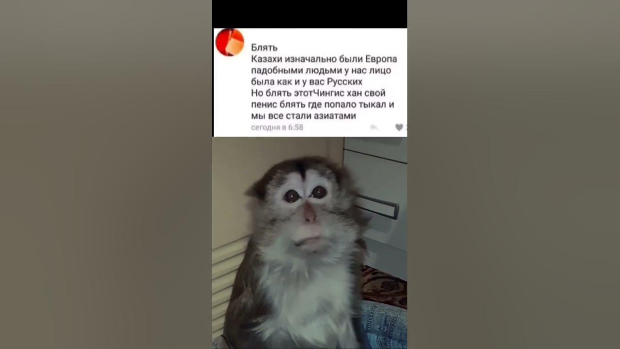 Казахи изначально былы Европа падобными - YouTube