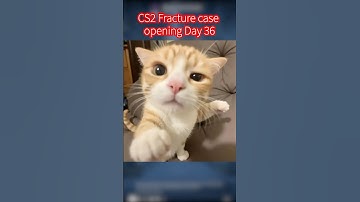 CS2 Fracture Case opening Day 36 #csgo #cs2case #cs2caseopeninng #cs2caseopening