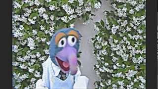 "Moves Like Gonzo"