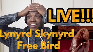 Lynyrd Skynyrd | Freebird Live 1977 | Reaction