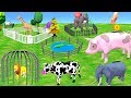 Animals toys for kids  toys in supermarket shopping cart funny monkey cartoons for children