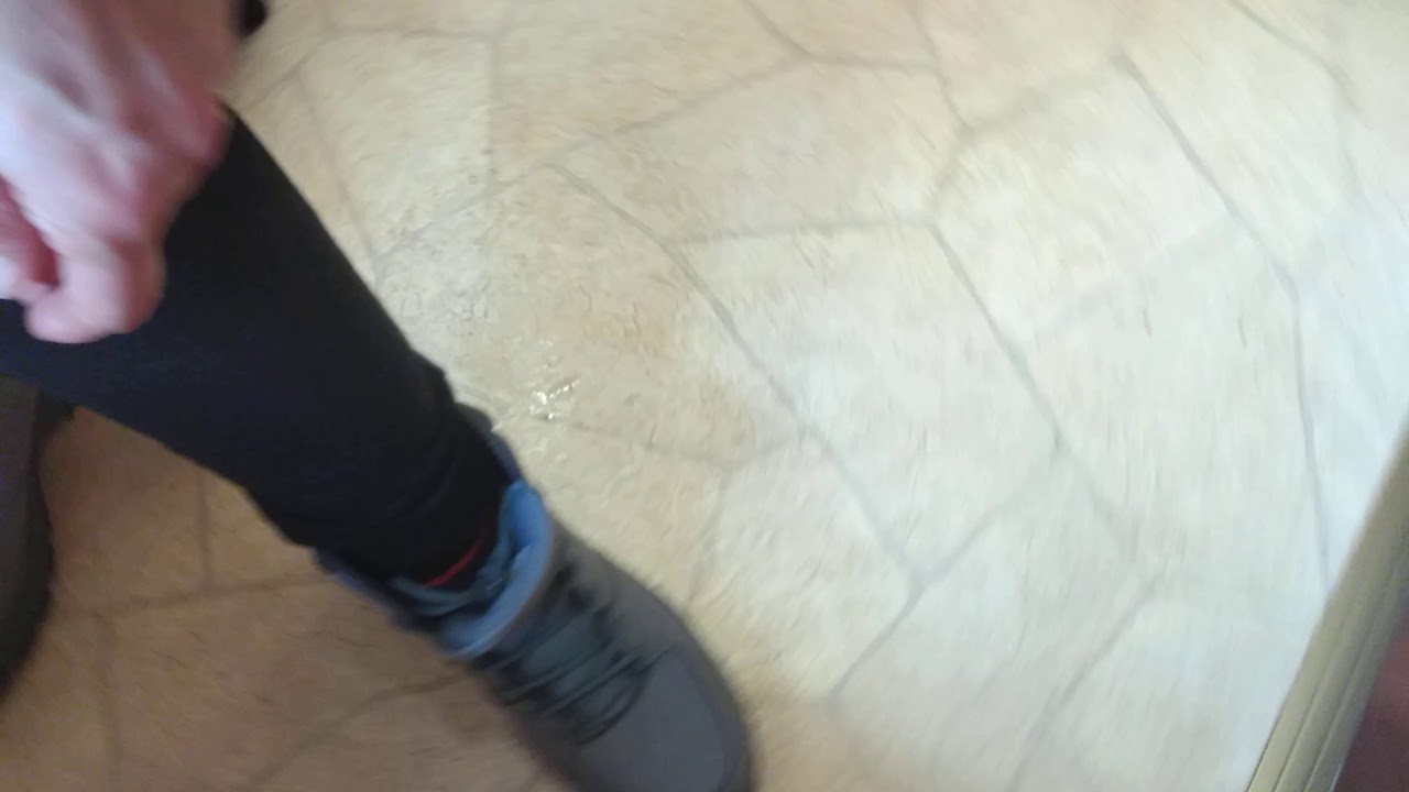 Wo bleiben meine Katzeneltern?