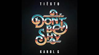 Tiësto & KAROL G - Don’t Be Shy (Studio Acapella)