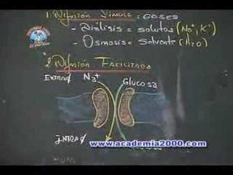 CLASES MAGISTRALES JUAN CARLOS RUIZ ULLOA PARTE 6