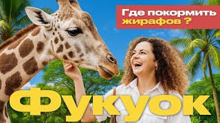 видео: Зоопарк Сафари на Фукуоке 🦒 Кормлю жирафов и лемуров | Влог из Вьетнама картинка: Зоопарк Сафари на Фукуоке 🦒 Кормлю жирафов и лемуров | Влог из Вьетнама