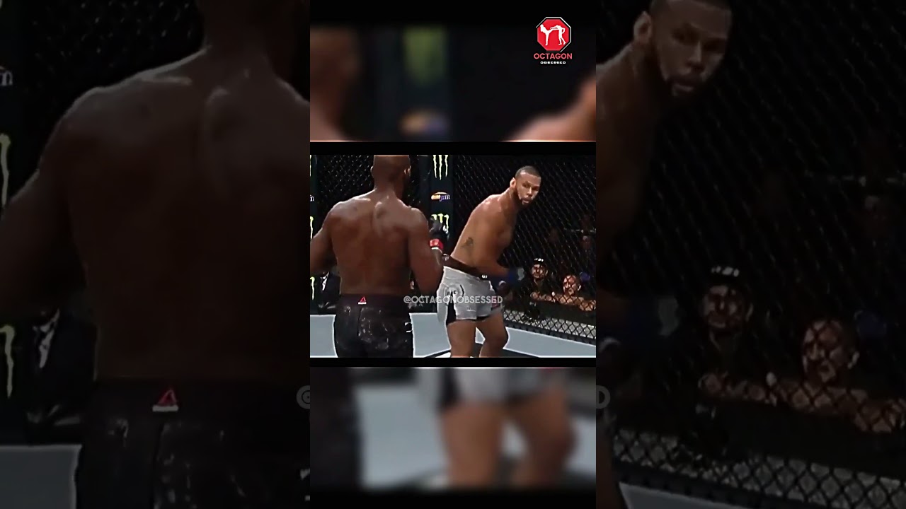 Jon Jones vs Thiago Santos 
