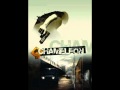 Chameleon - in the name of death