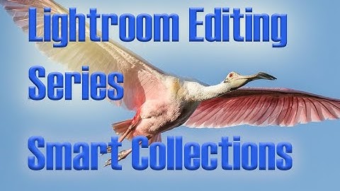 Lightroom Editing Series - How to create smart collection