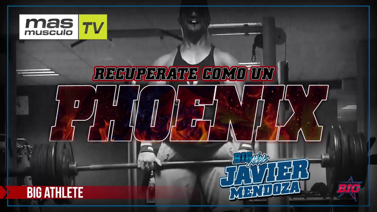 Compra ahora Phoenix en MASmusculo.com bajar de peso en 3 dias