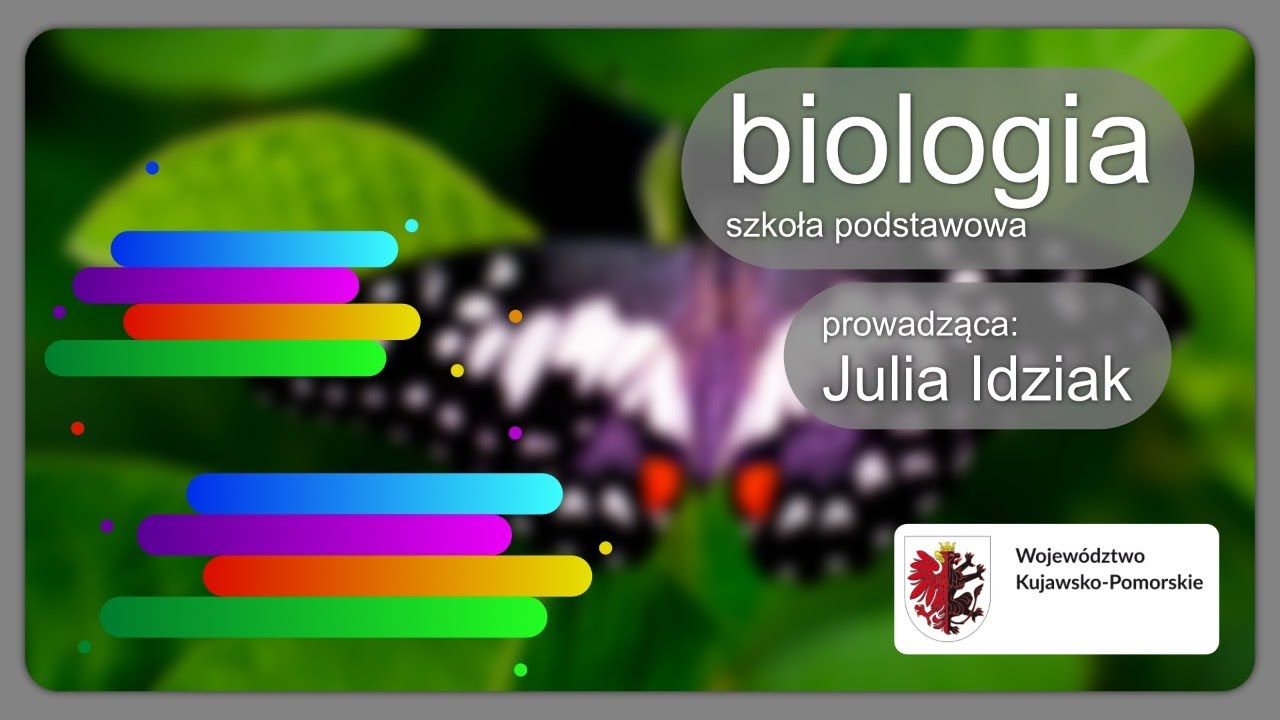 Biologia - SP - egzamin. Człowiek i środowisko - YouTube