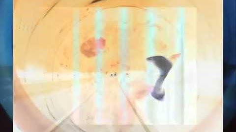 vdmx test from ableton follow actions