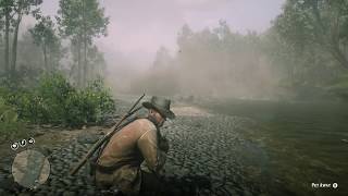 RDR 2: Getting a Sparrow, Songbird and Toad for Wildlife Art Exhibition IV