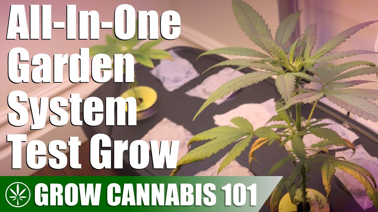 All-In-One Indoor Hydroponic Garden Test Grow
