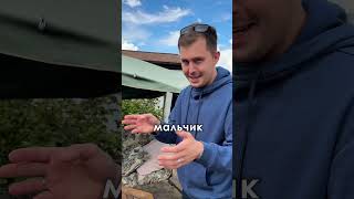 Идея для гендер пати 😍❤️
