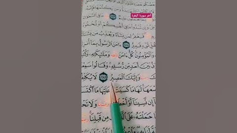 آخر سورة البقرة 💖🌹 أللهم اجعل القرآن الكريم ربيع قلوبنا