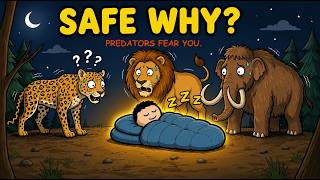 Why Wild Predators Never Attack Humans in Their Sleep?