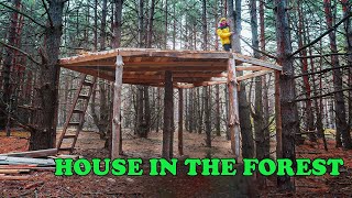 GIANT TREE HOUSE. PART 1 - HOUSE IN THE FOREST by Interesting Ficus 3,993 views 2 years ago 10 minutes, 4 seconds