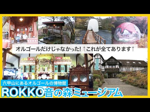 兵庫県六甲山にあるROKKO森の音ミュージアム。オルゴールの博物館ですが、ツリーハウスやドーム型グランピングテント、キッズパークもある施設。謎解きゲームやオルゴールの組み立て教室など体験遊びも出来ます