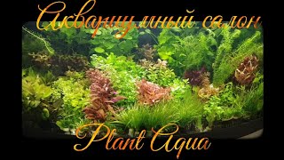 Аквариумный салон Plant Aqua в Москве