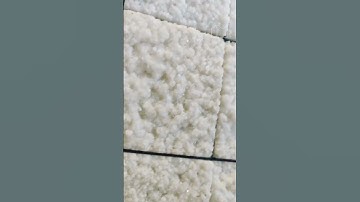 Salt to Structure: Transforming Abundant Resources into Architectural Innovation