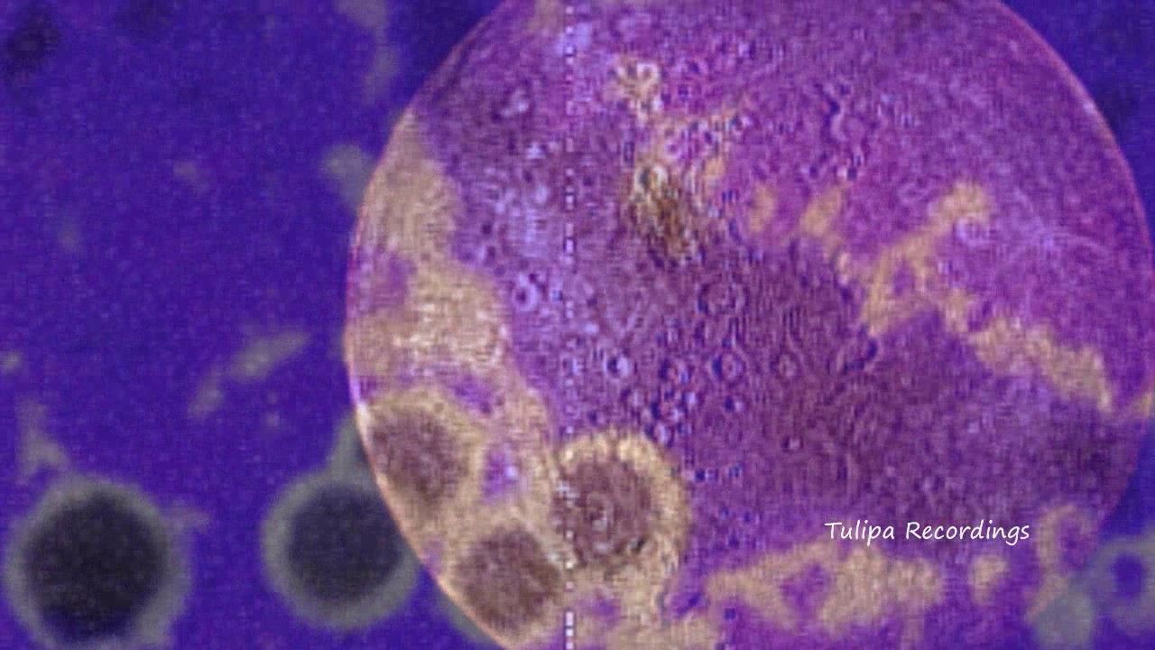 Watch Futur-E - Argon (SQL Remix) TULIPA163 on YouTube Watch Futur-E - Argon (SQL Remix) TULIPA163 on YouTube