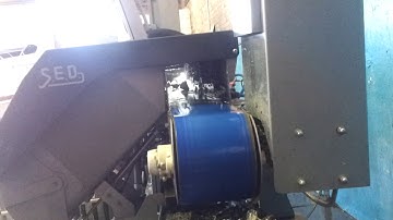 Oyster sorting machine