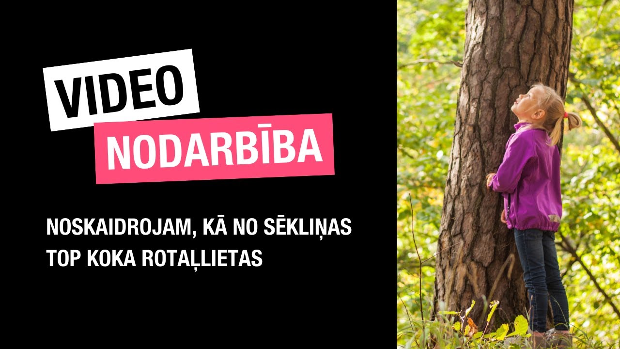 Noskaidrojam, kā no sēkliņas top koka rotaļlietas