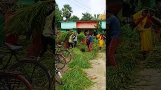 jai kishan🌾🌾😊#shortfeed #youtubeshorts #viral #tranding #sonuvlog099#goddajharkhand