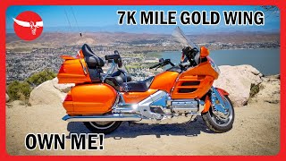 A 7,000 mile Sunburst Orange Pearl Honda GL1800 Gold Wing  only produced in 2002 & up for grabs!