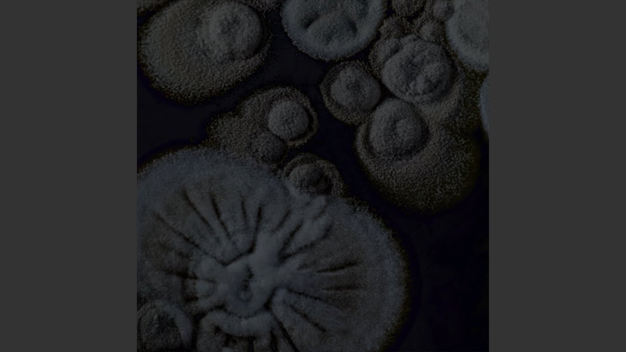 Watch Pulsus on YouTube Watch Pulsus on YouTube