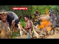 Watch the hadzabe tribes thrilling bush pig hunt and mouthwatering wild meat roasting technique