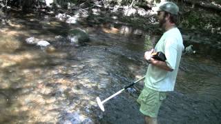 Sea lamprey, dam removal, and habitat restoration