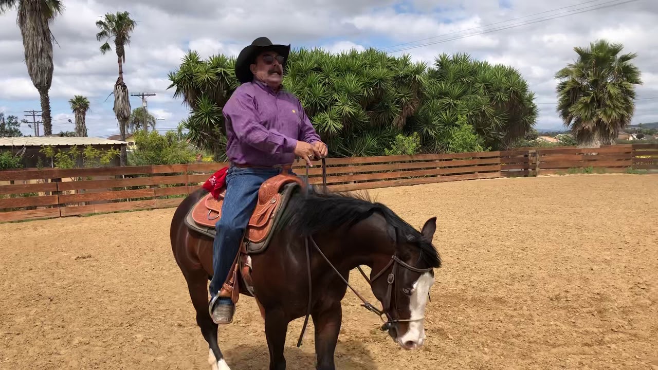Zorro telo digo Juan escúchalo