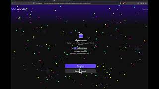 How to install Arweave wallet on desktop | Wander Wallet screenshot 4