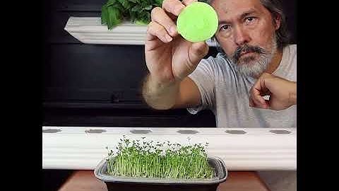 ANYONE CAN GROW, Easy DIY Hydroponics #shorts