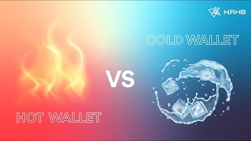 Hot Wallet vs Cold Wallet in Crypto: Which is Better?