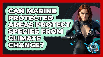 Can Marine Protected Areas Protect Species From Climate Change? - The Marine Life Explorer