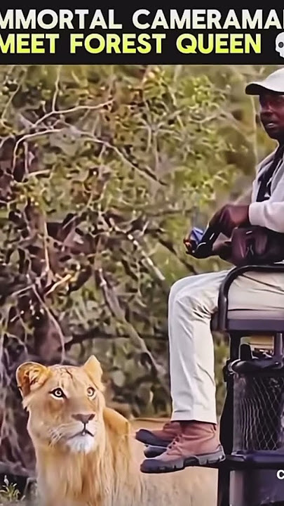 Safari peligroso