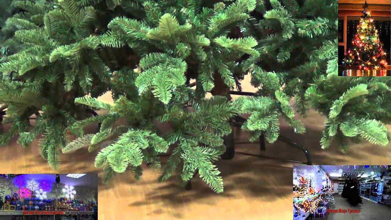 Сосна Triumph Tree